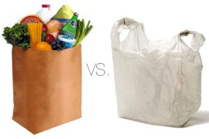 Подробнее о статье Что экологичнее: пластиковые или бумажные пакеты?